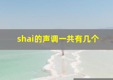 shai的声调一共有几个