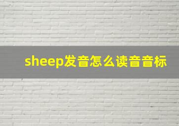 sheep发音怎么读音音标