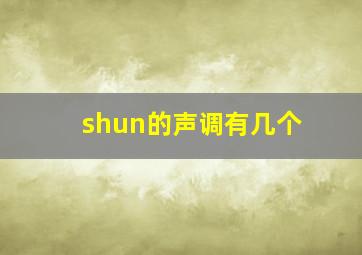 shun的声调有几个