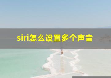 siri怎么设置多个声音