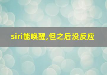 siri能唤醒,但之后没反应