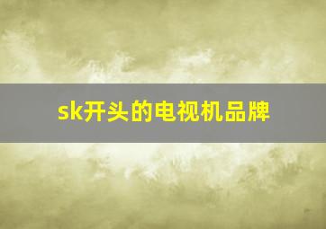 sk开头的电视机品牌