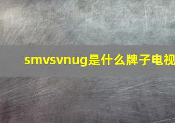 smvsvnug是什么牌子电视