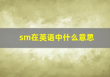 sm在英语中什么意思