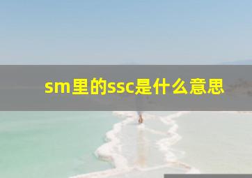 sm里的ssc是什么意思