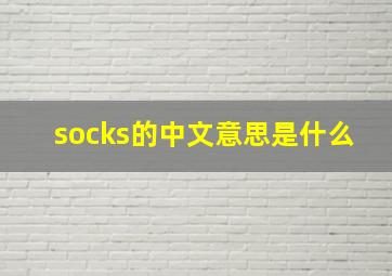 socks的中文意思是什么