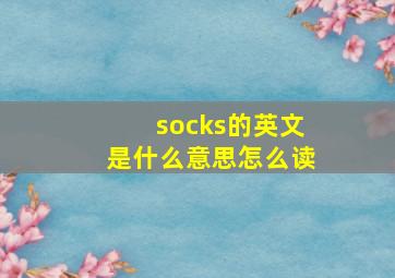 socks的英文是什么意思怎么读