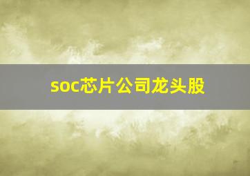 soc芯片公司龙头股