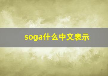 soga什么中文表示