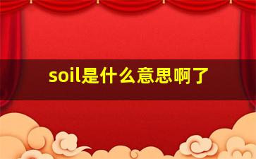 soil是什么意思啊了