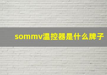 sommv温控器是什么牌子