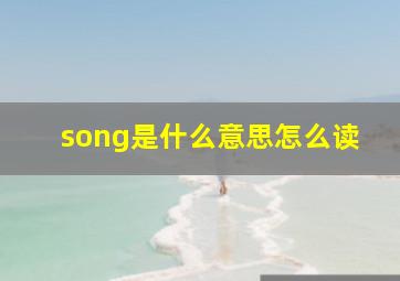 song是什么意思怎么读