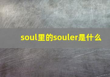 soul里的souler是什么