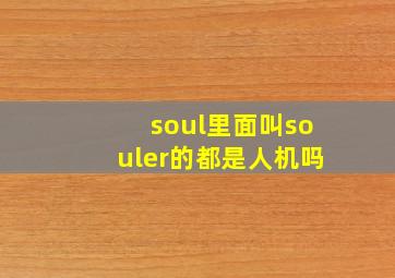 soul里面叫souler的都是人机吗