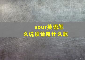 sour英语怎么说读音是什么呢