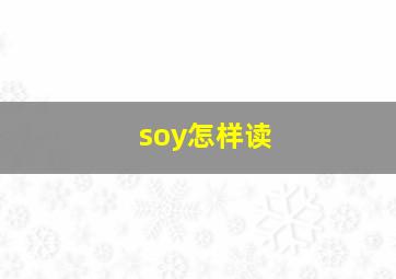 soy怎样读