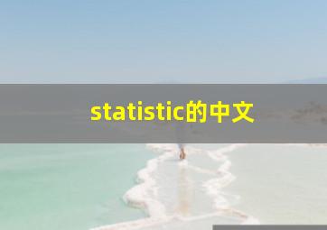 statistic的中文