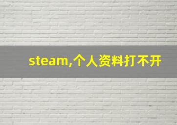 steam,个人资料打不开