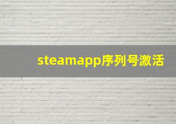 steamapp序列号激活