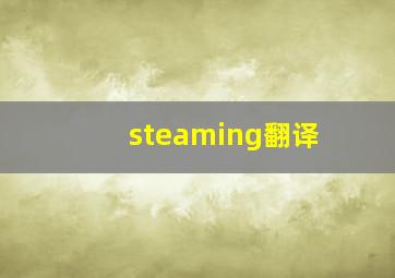 steaming翻译