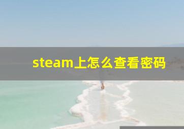 steam上怎么查看密码