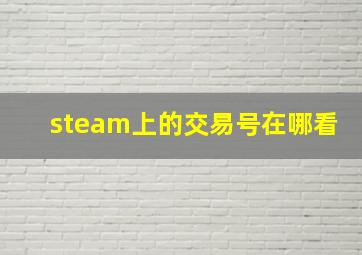 steam上的交易号在哪看