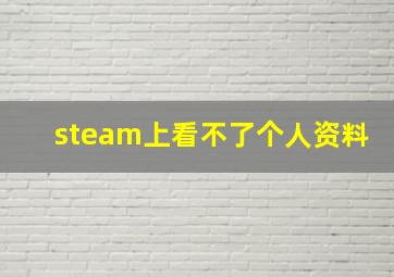 steam上看不了个人资料