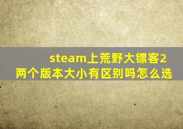 steam上荒野大镖客2两个版本大小有区别吗怎么选