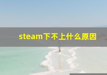 steam下不上什么原因