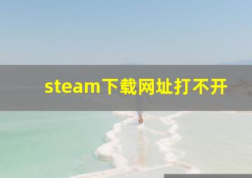 steam下载网址打不开