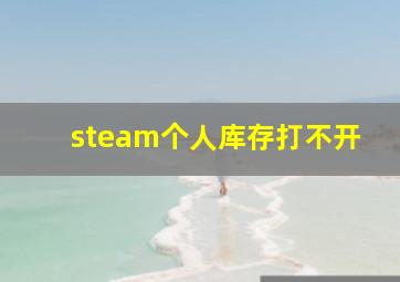 steam个人库存打不开