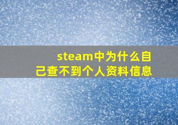 steam中为什么自己查不到个人资料信息