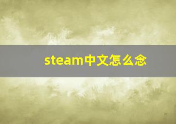 steam中文怎么念