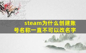 steam为什么创建账号名称一直不可以改名字