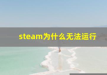 steam为什么无法运行