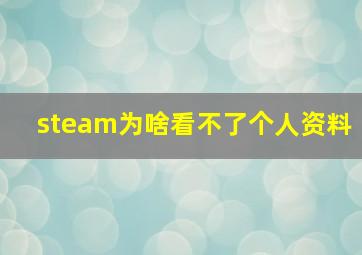 steam为啥看不了个人资料