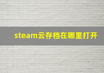 steam云存档在哪里打开