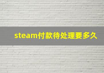 steam付款待处理要多久