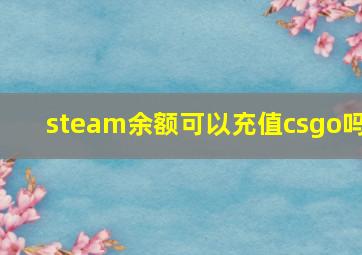 steam余额可以充值csgo吗