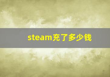 steam充了多少钱