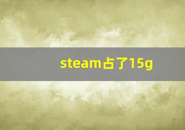 steam占了15g