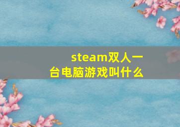 steam双人一台电脑游戏叫什么