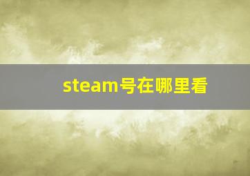 steam号在哪里看