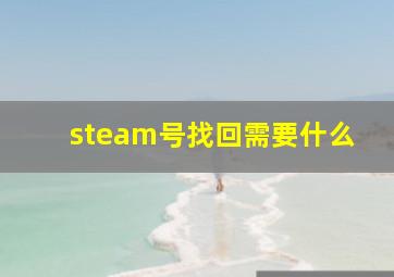 steam号找回需要什么