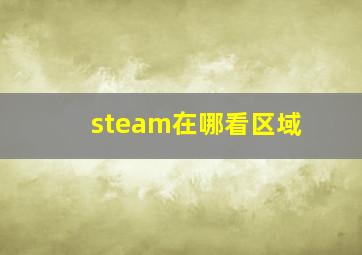 steam在哪看区域