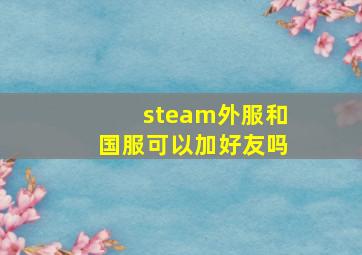 steam外服和国服可以加好友吗