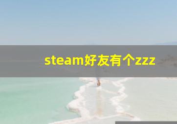 steam好友有个zzz