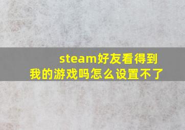 steam好友看得到我的游戏吗怎么设置不了