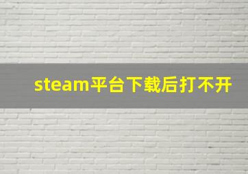 steam平台下载后打不开