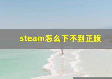 steam怎么下不到正版